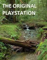 picture of creek with the slogan 'Original Playstation'