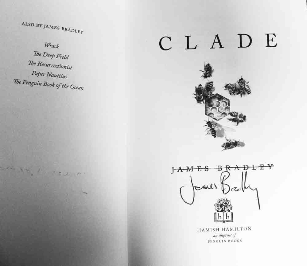 Clade-lined