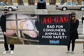 Activists protest Ag Gag laws