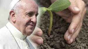 http://paxchristiusa.org/2015/02/11/reflection-anticipating-the-attacks-on-pope-francis-and-his-environmental-encyclical/