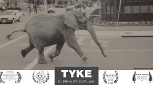 Tyke B&W poster