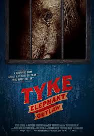 Tyke poster