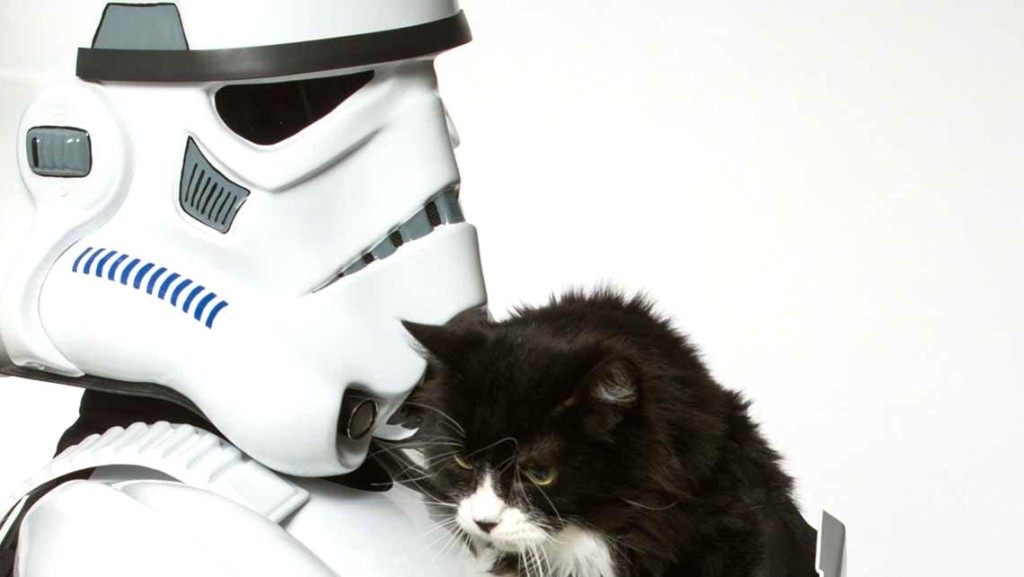 http://sobadsogood.com/2015/05/24/these-adorable-pets-are-teaching-star-wars-villains-how-love-again/