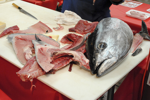 http://darindines.com/2012/04/22/bluefin-tuna/