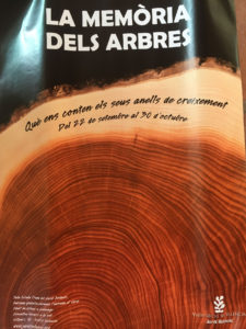 poster for La Memória dels arbres