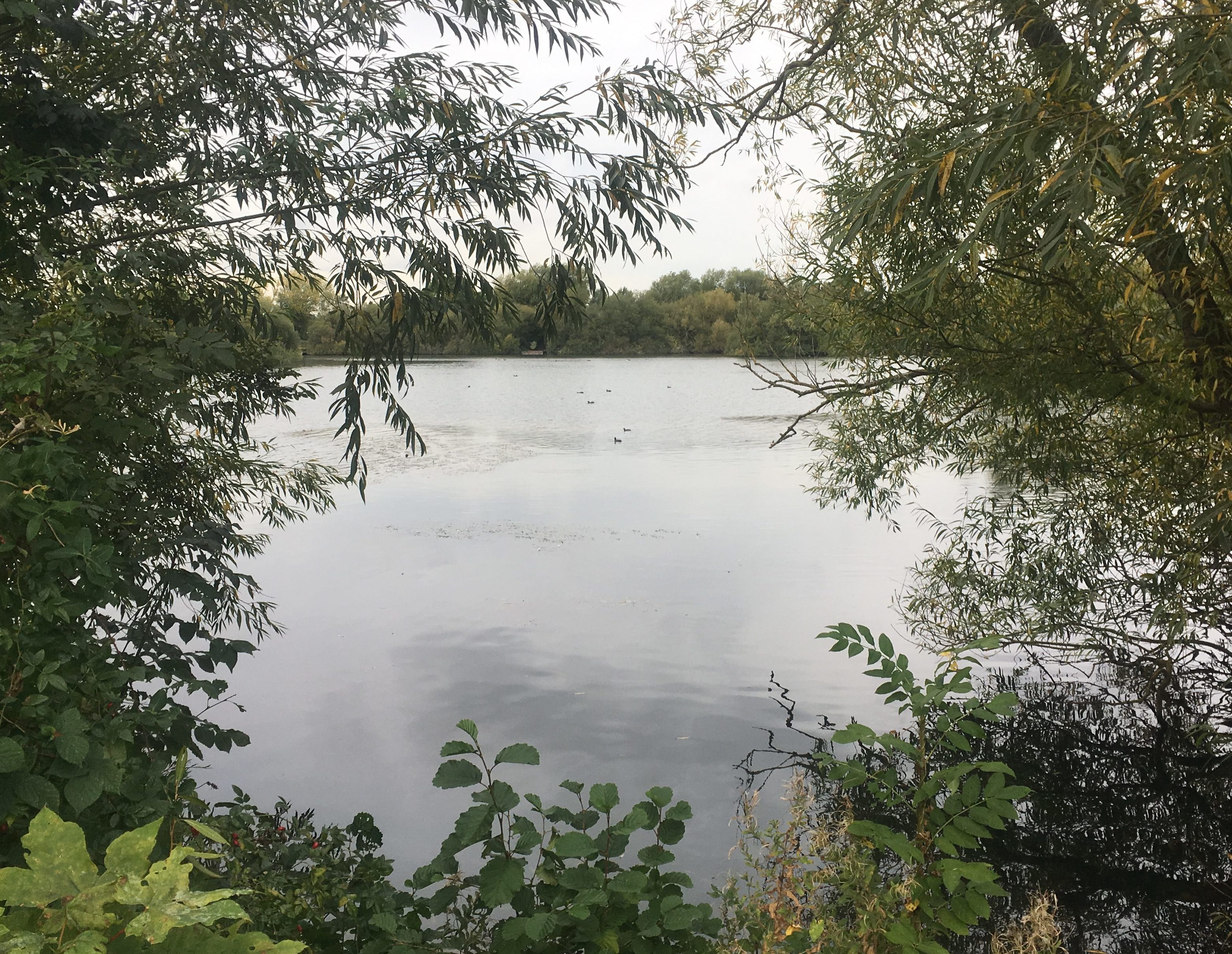 Cheshunt Lake in the Lee Valley