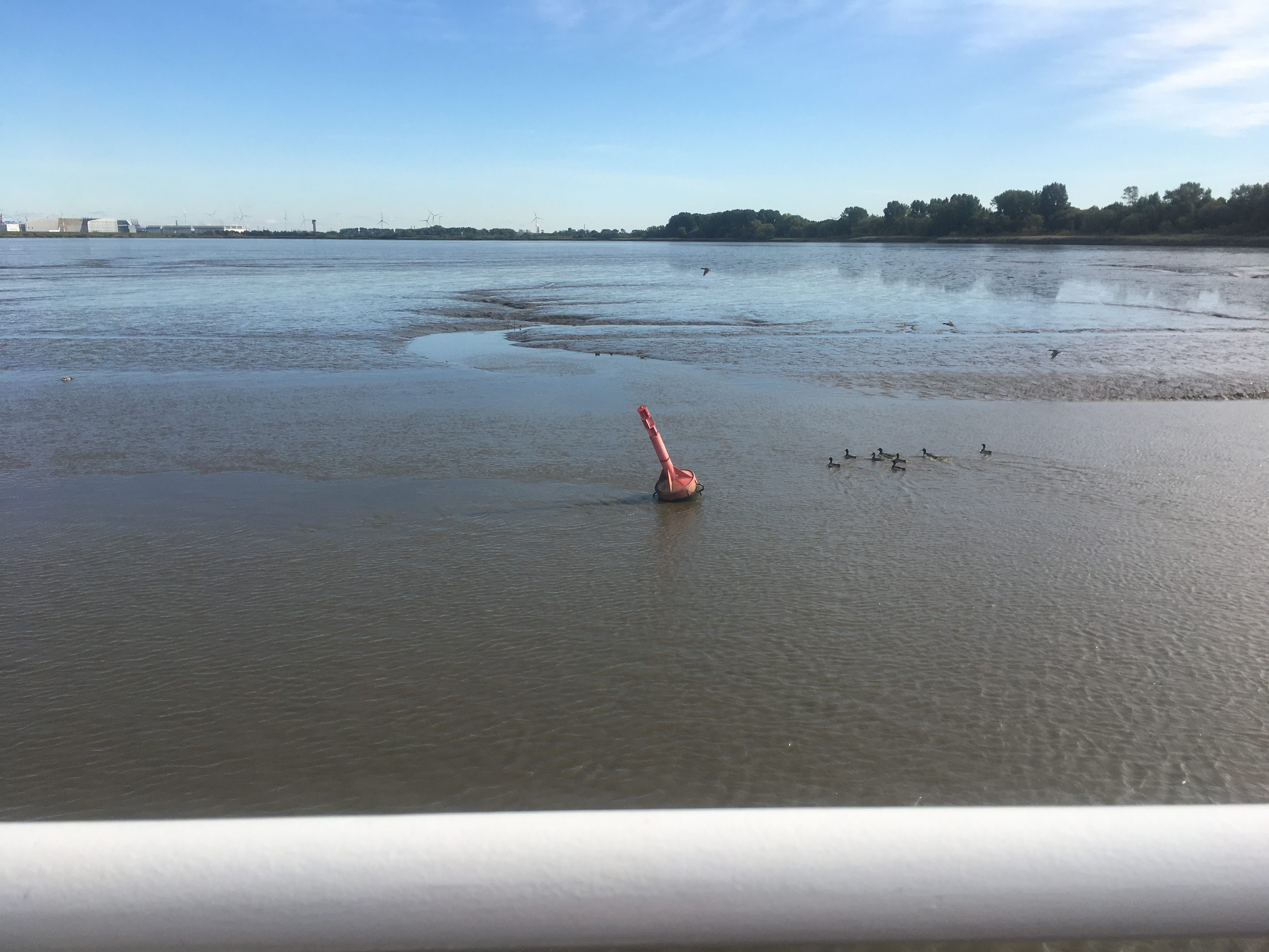 Mudflats showing how tidal the river Elb is