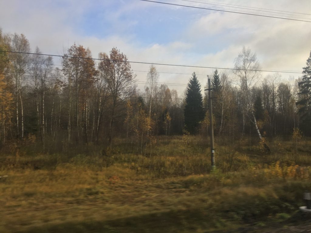 Still a few leaves in Belarus