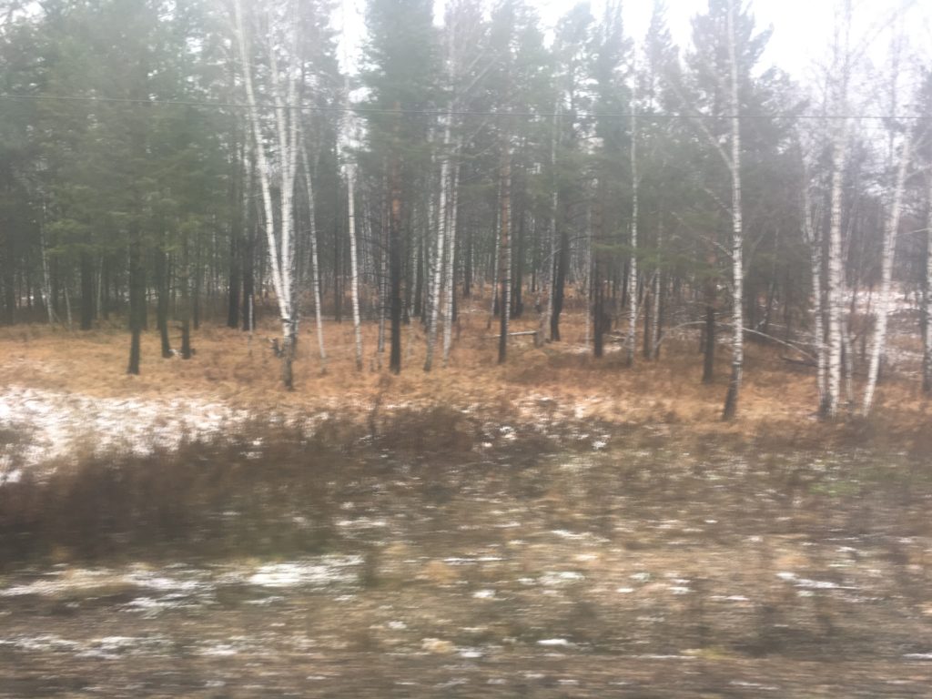 Barabinsk - call that snow?