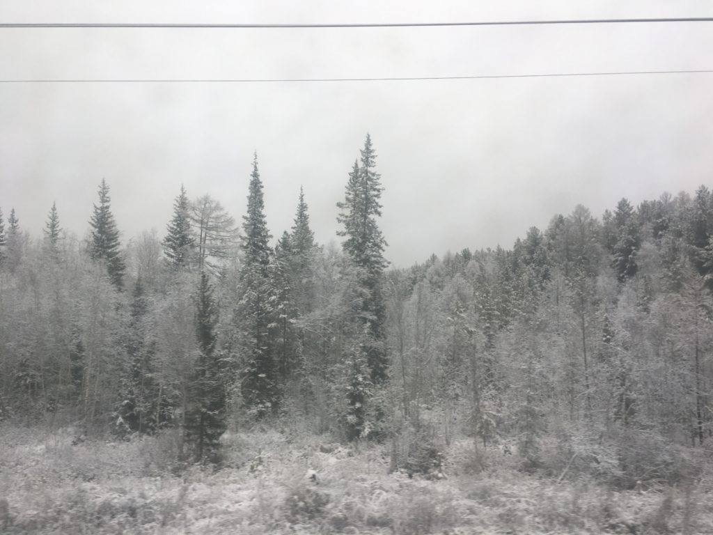 Snow in the Shelekhovskiy rayon