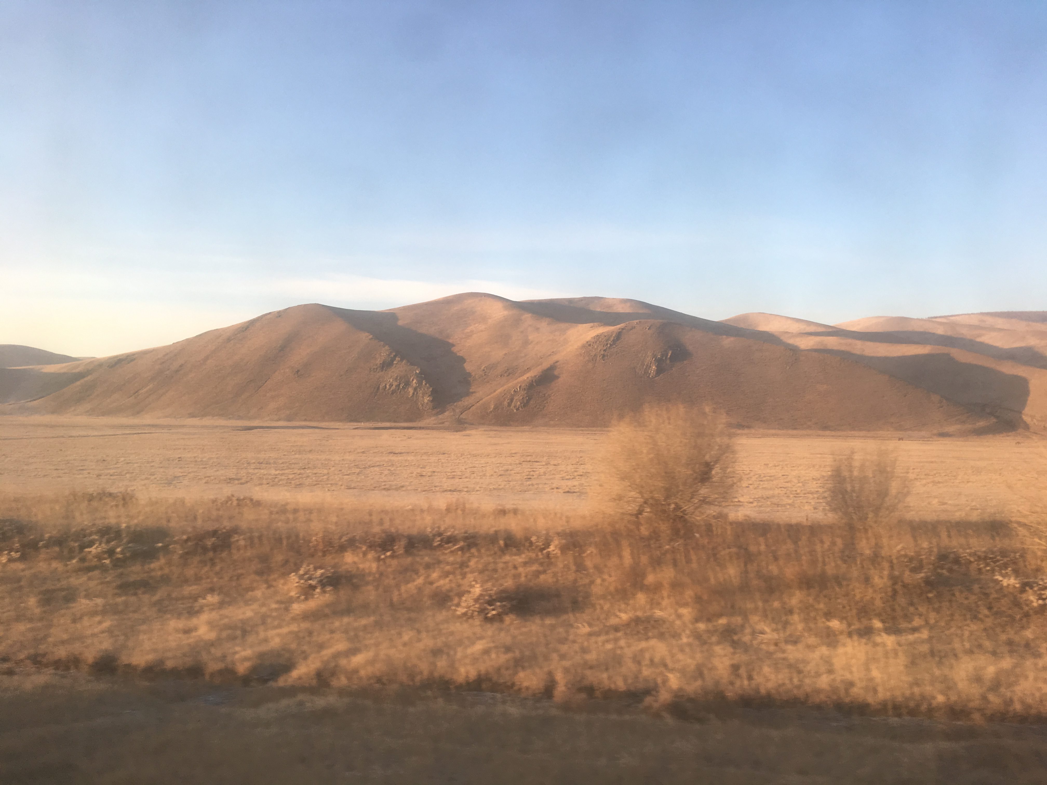 Mongolian hills take on the shape of sand dunes