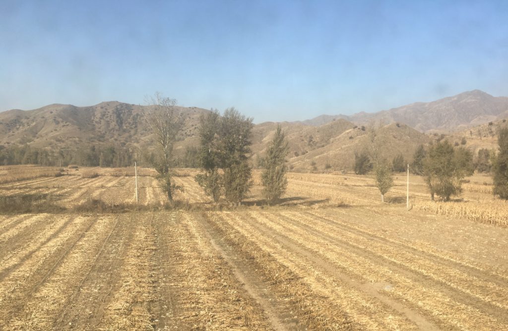 Harvest in as the Chinese terrain starts to soften
