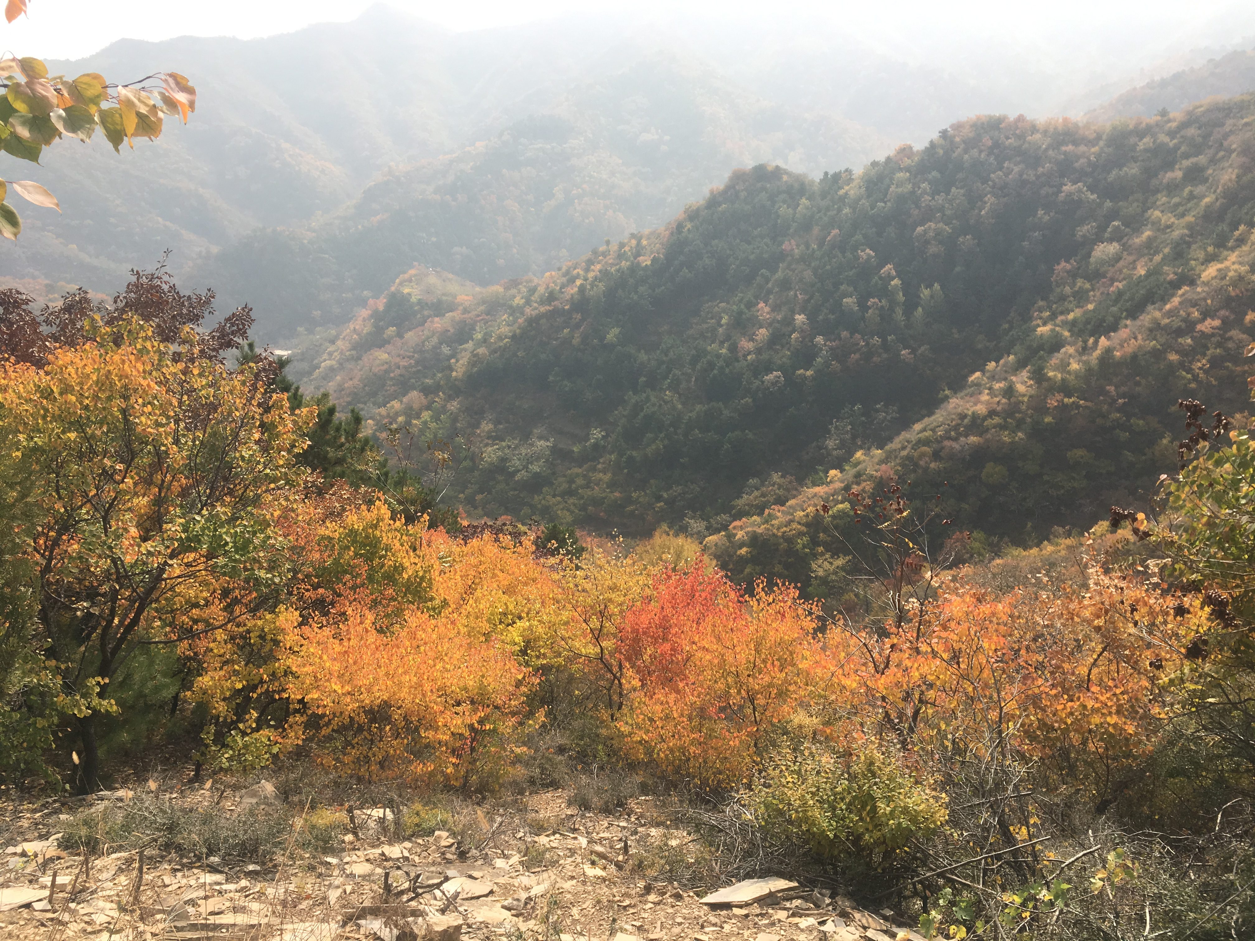 More autumn tones around the Great Wall environs