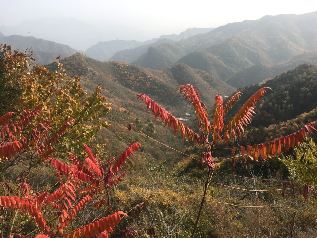 Autumn colour on the Great Wall