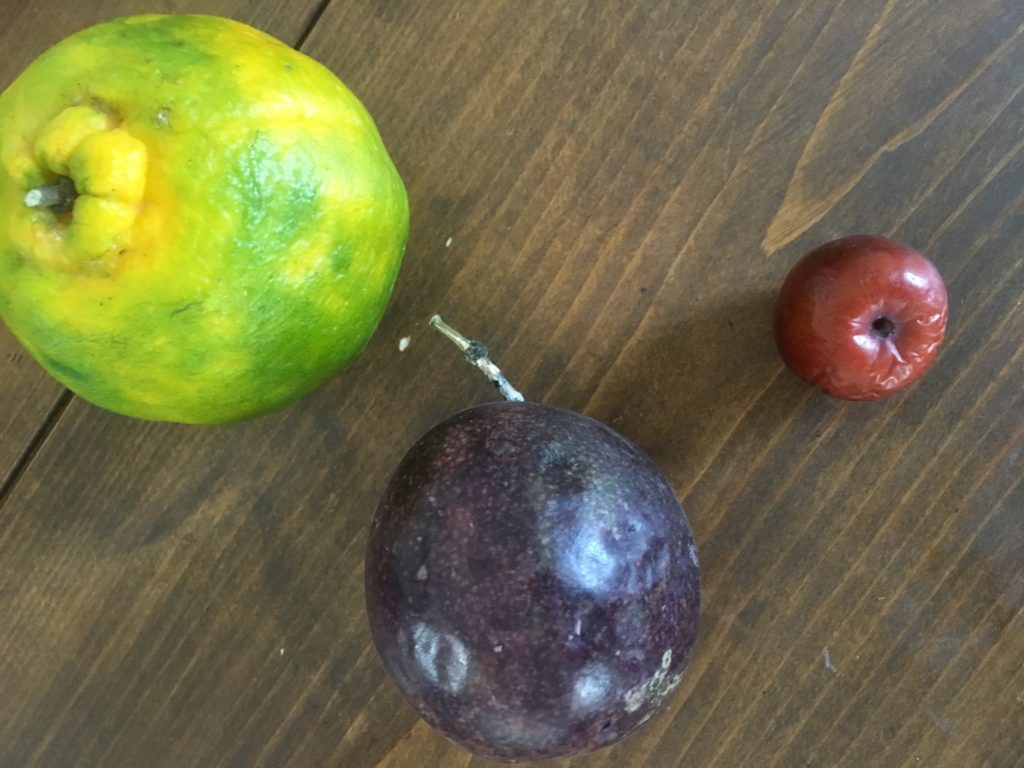 Three common Chinese fruit: Mandarin, passionfruit and hawthorn