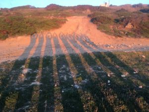 Spring equinox sunset in Portugal