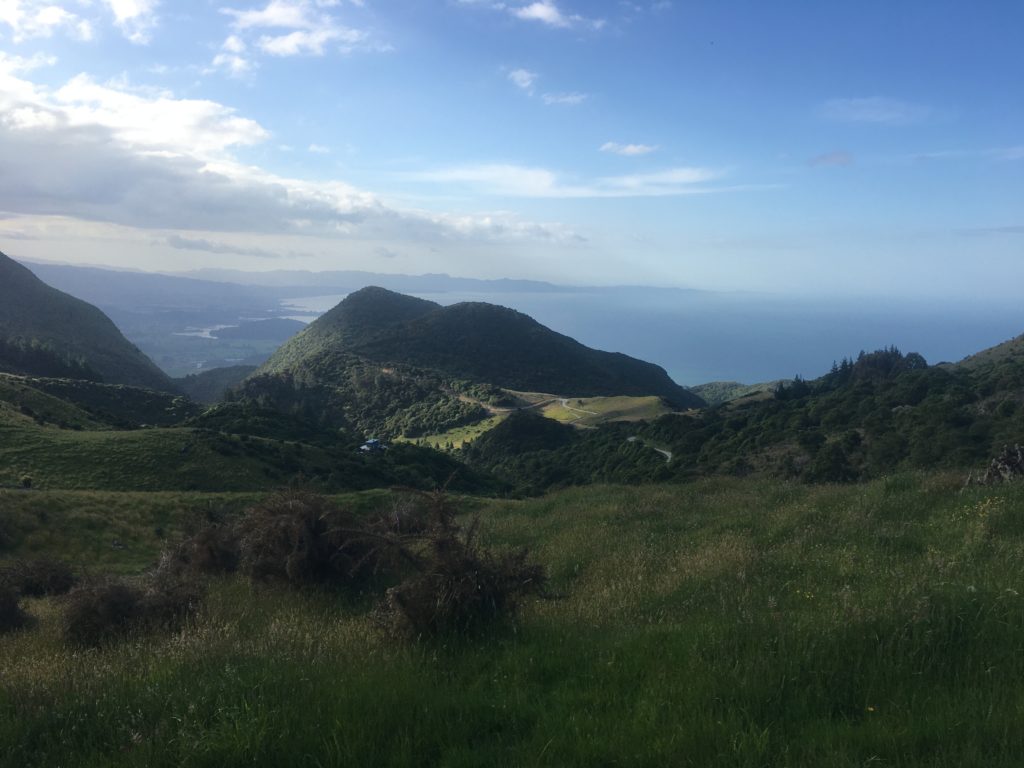 Up in the hills above Takaka