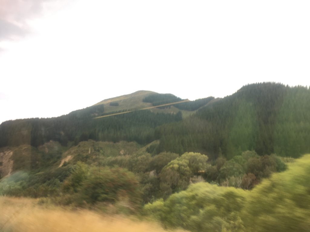 Rolling rural hills between ChCh and Picton