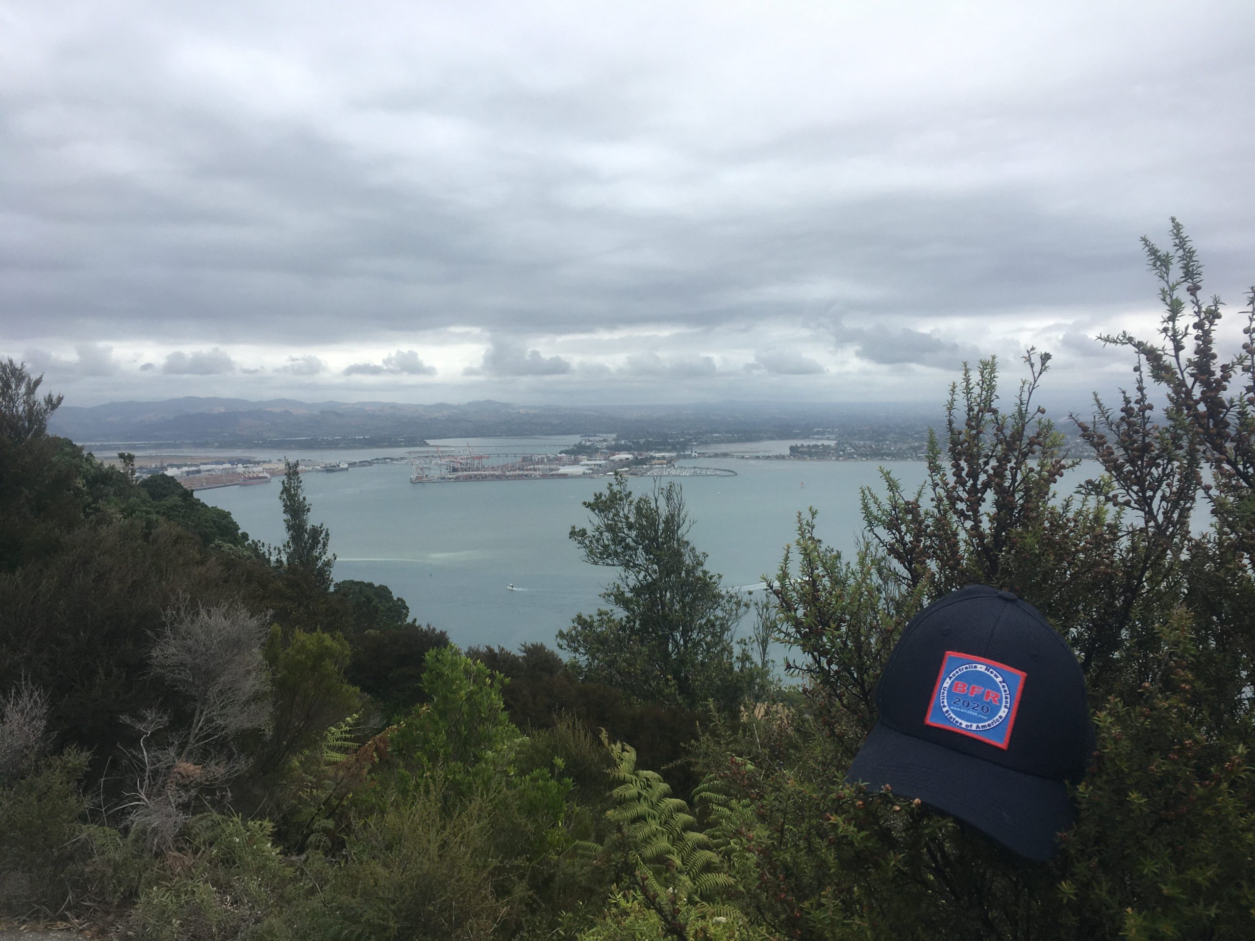 Family reunion hat slung over a bush on Mount Manganui - that's the port in the background
