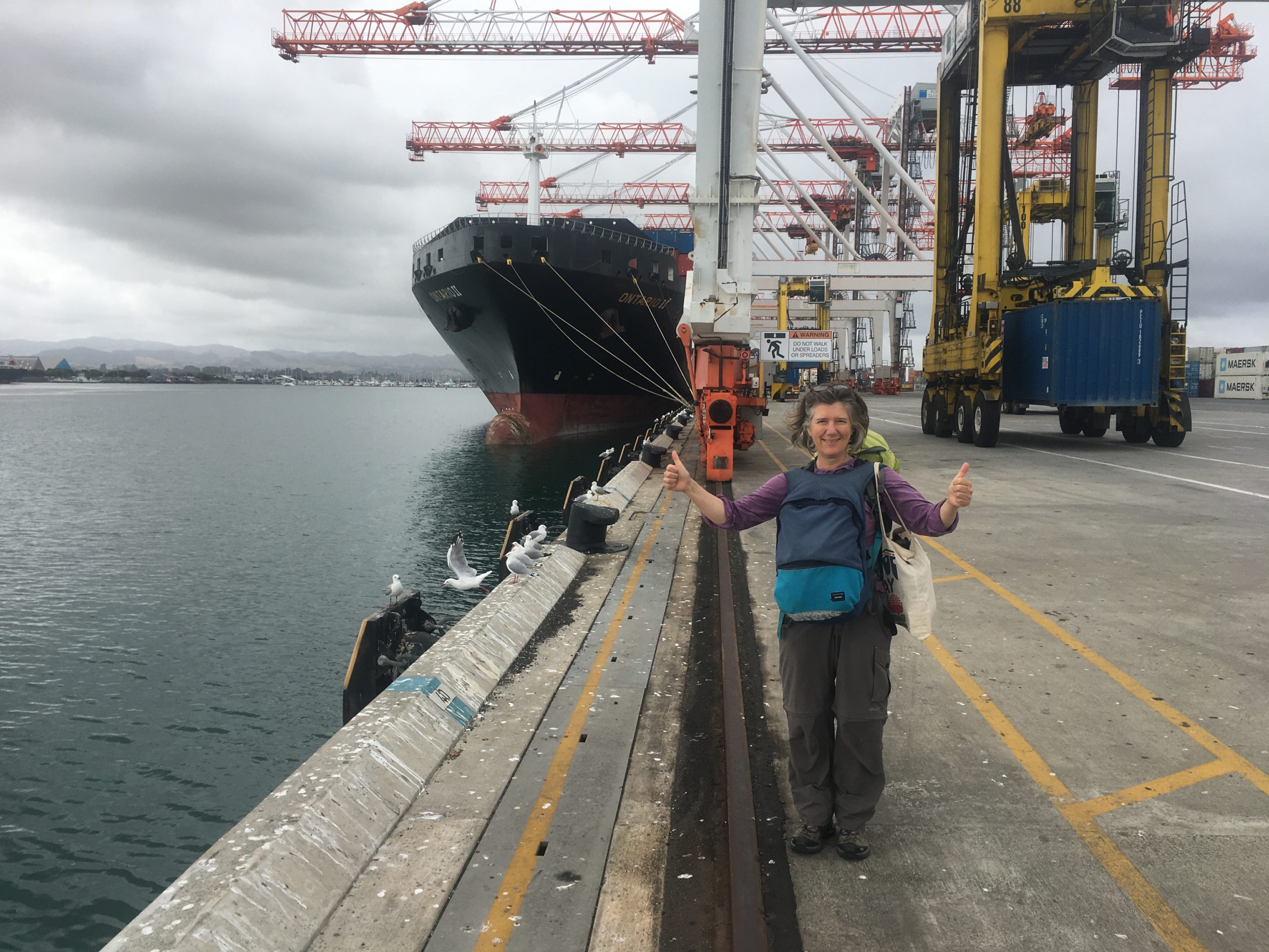 Passenger number two beside my second container ship docked at Port Tauranga