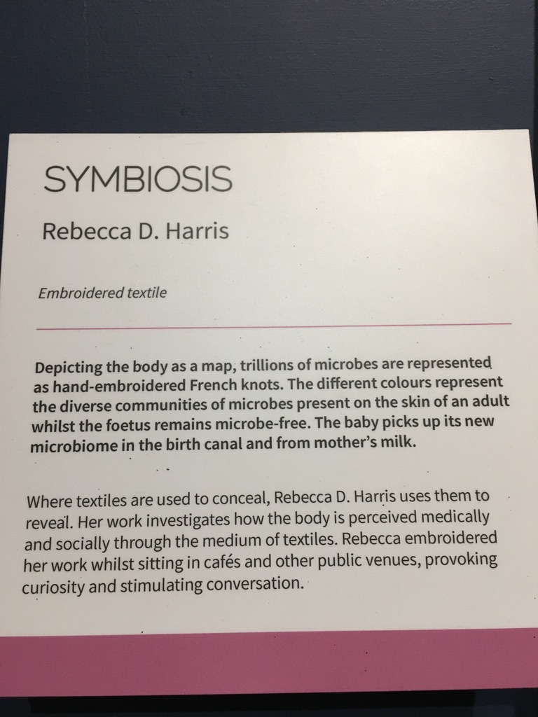 Symbiosis - thousands of French knots
