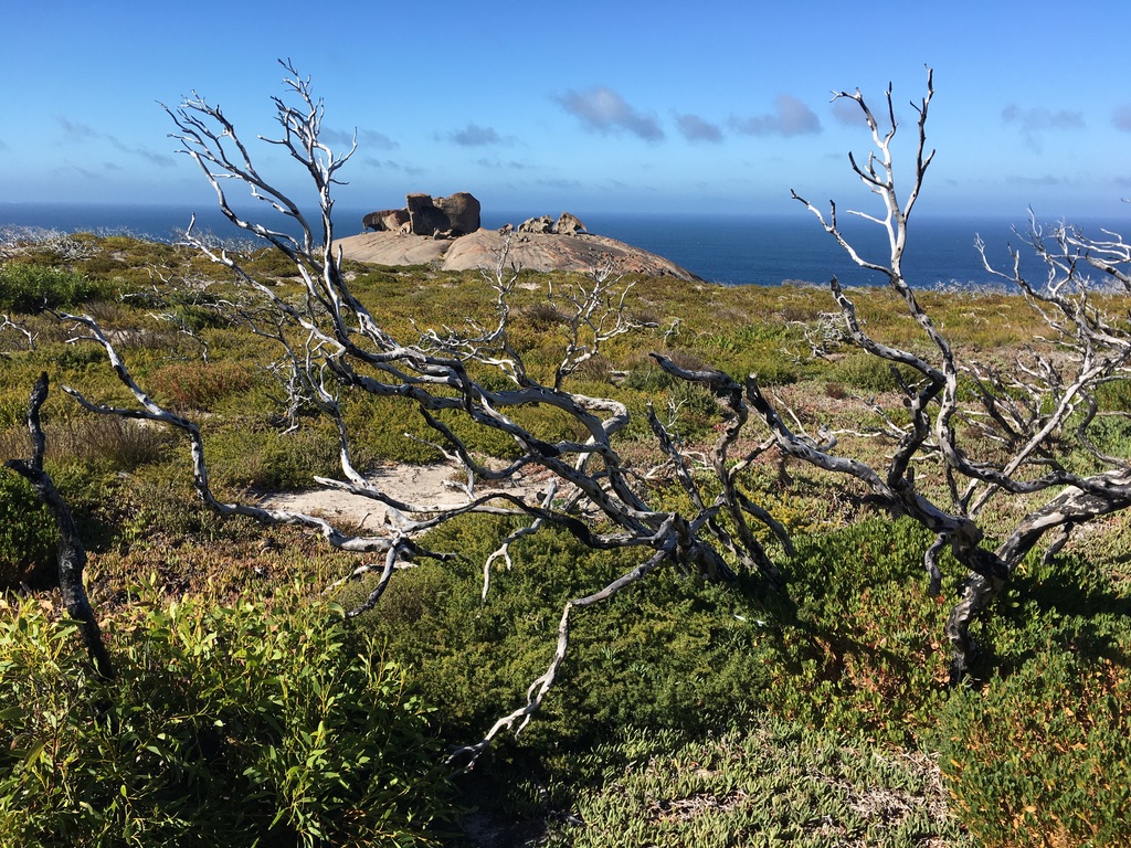 First glimpse of the Remarkable Rocks in Flinders Chase NP - note fire damage