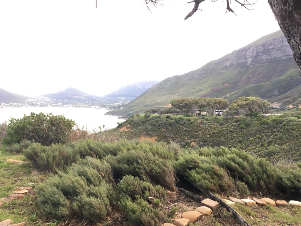 Exploring the Cape Peninsula, SA