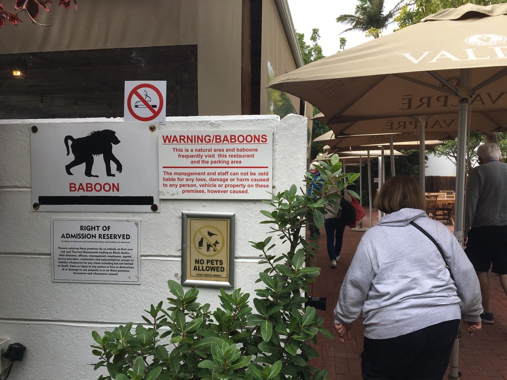 Baboons are not invited to our lunch