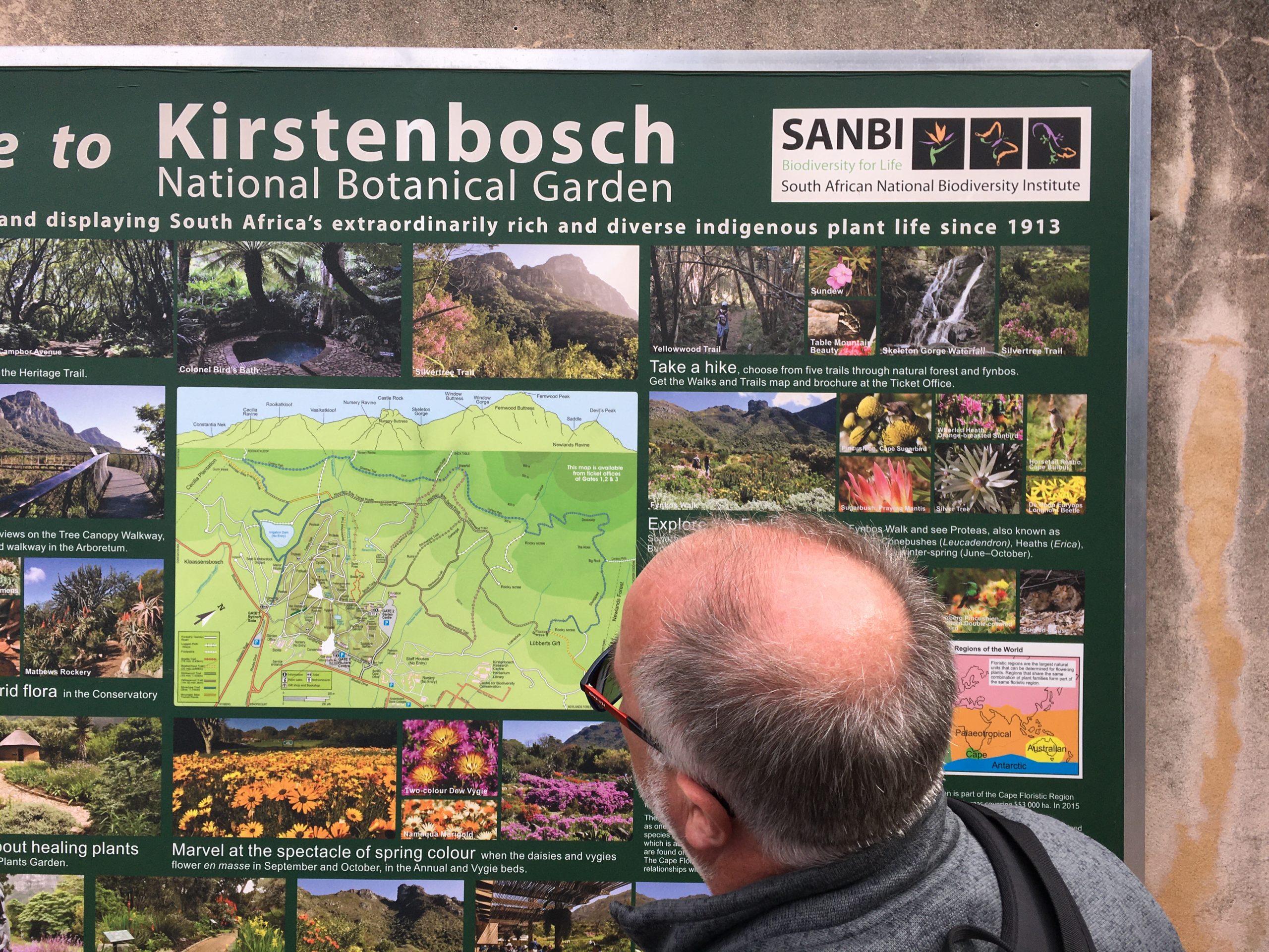 Plenty of informative signage in Kirstenbosch National Botanic Garden, SA